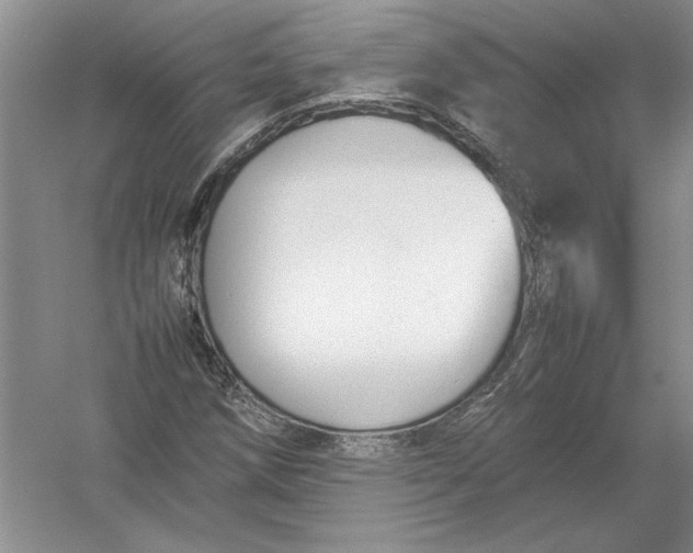 X0000054391258200508191929