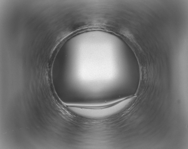 X0000054391260200508191929