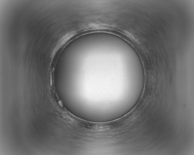 X0000054391269200508191929