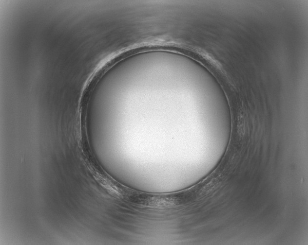 X0000054391270200508191929