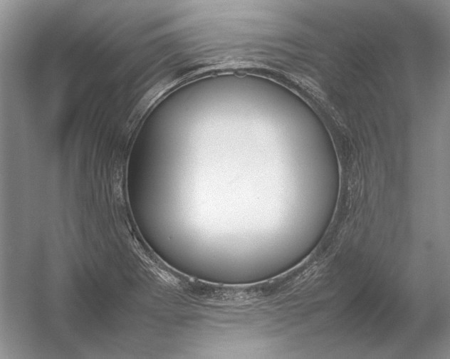 X0000054391273200508191929