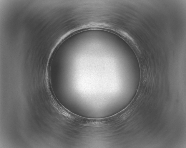 X0000054391280200508191929