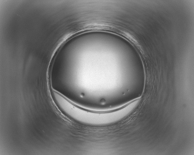 X0000054391283200508191929