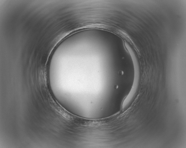X0000054391284200508191929
