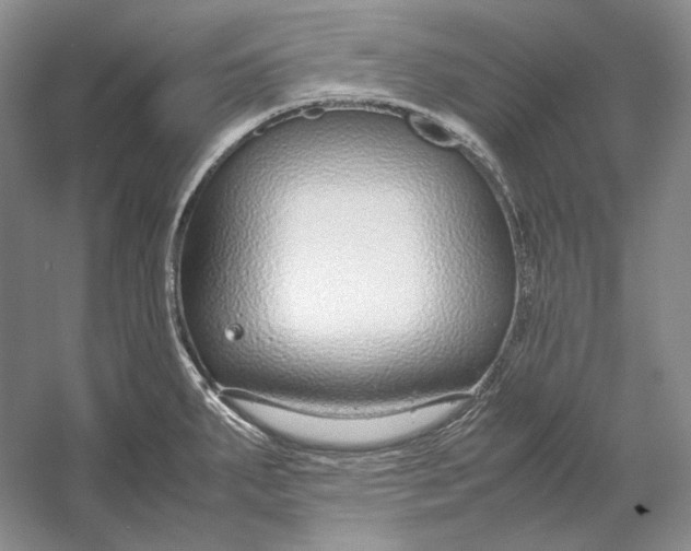 X0000054391287200508191929