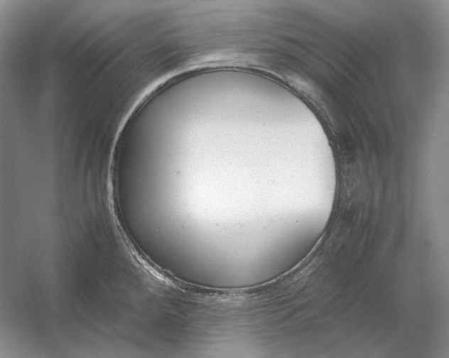 X0000054391288200508191929