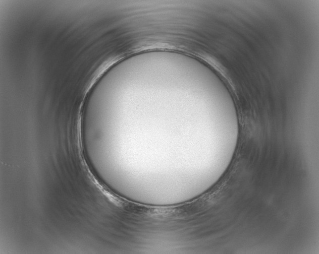 X0000054391290200508191929