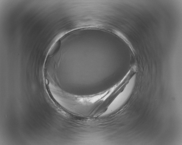 X0000054391291200508191929