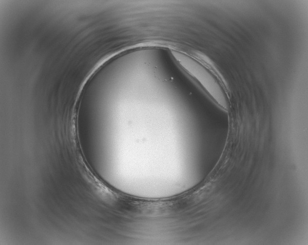 X0000054391292200508191929