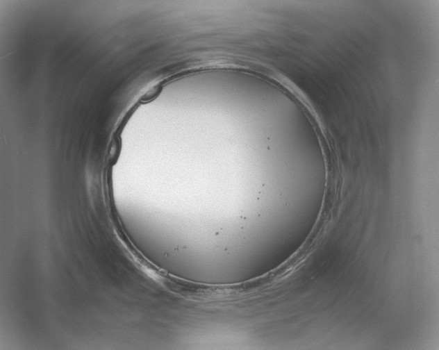 X0000054391293200508191929