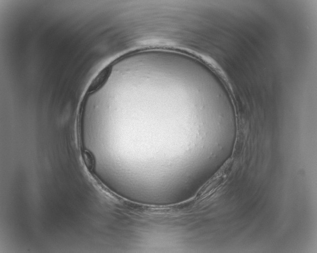 X0000054391295200508191929