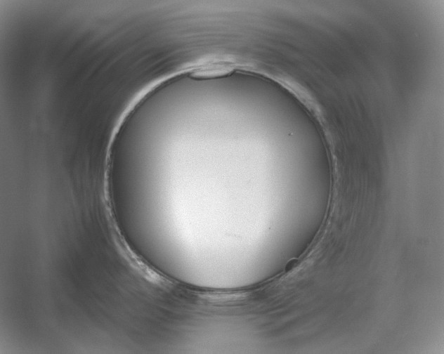 X0000054391296200508191929