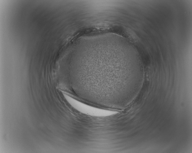 X0000054391298200508191928