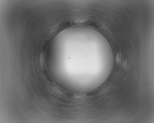 X0000054391299200508191928