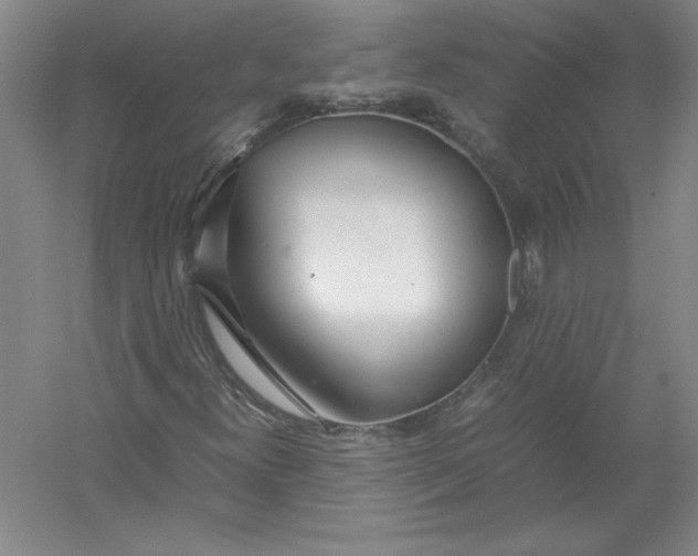 X0000054391300200508191928