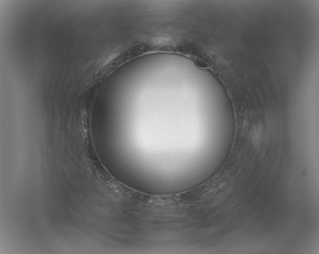 X0000054391301200508191928