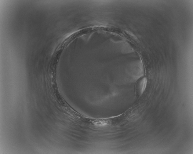 X0000054391303200508191928