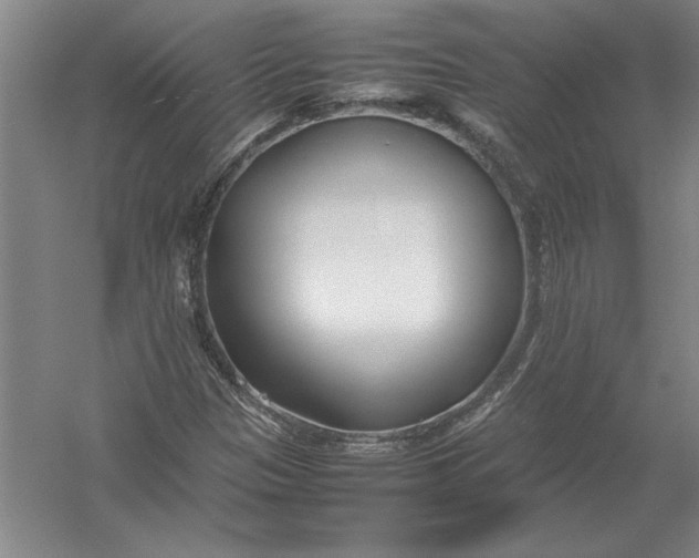 X0000054391305200508191928