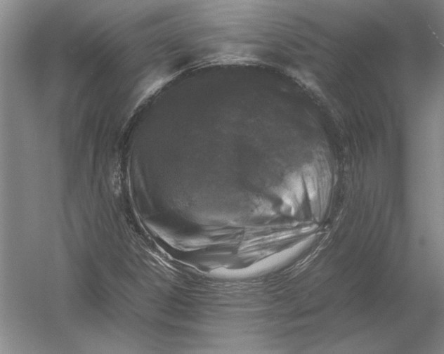 X0000054391306200508191928
