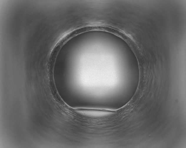X0000054391311200508191928