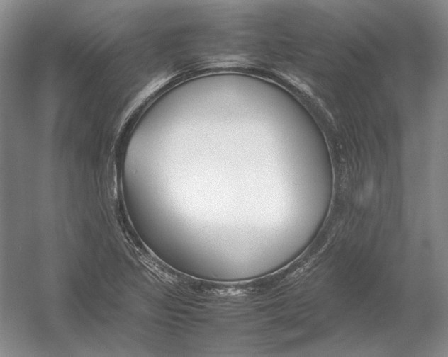 X0000054391317200508191928