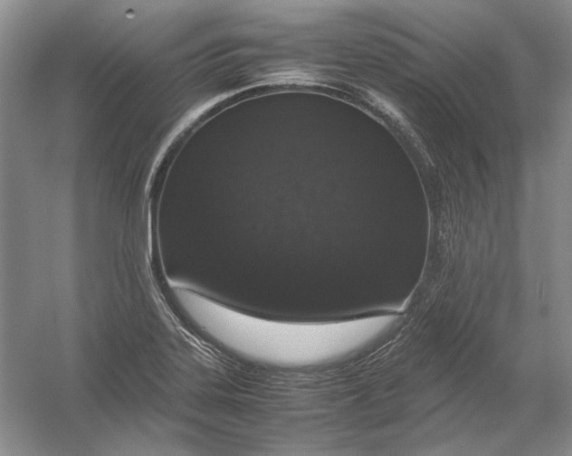 X0000054391323200508191928