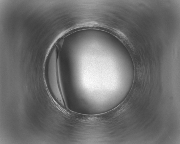 X0000054391326200508191928