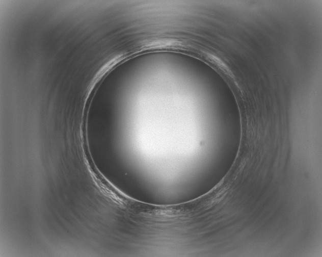 X0000054391330200508191929