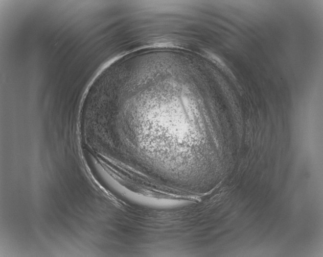 X0000054391331200508191929