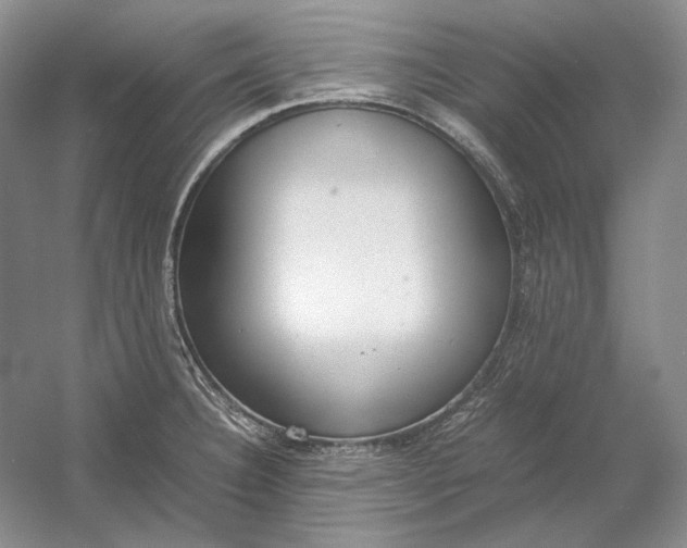 X0000054391332200508191929
