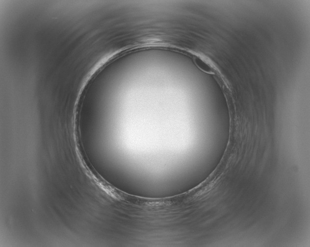 X0000054391333200508191929