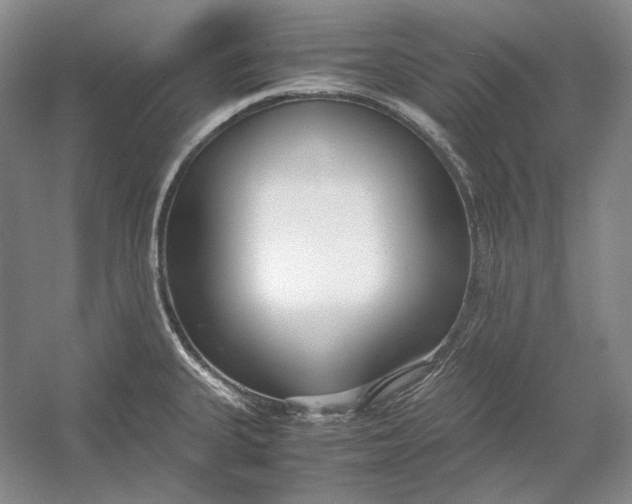 X0000054391335200508191929