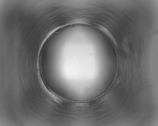 X0000054391339200508191929