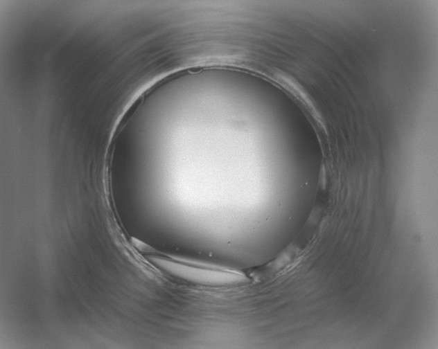 X0000054391340200508191929