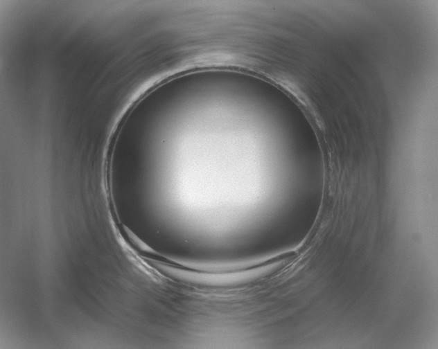 X0000054391342200508191929