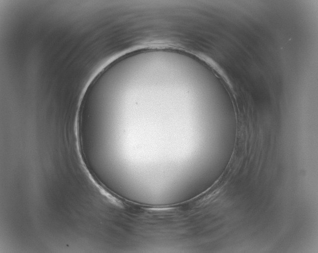 X0000054391343200508191929
