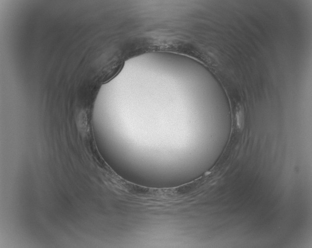 X0000054391347200508191928