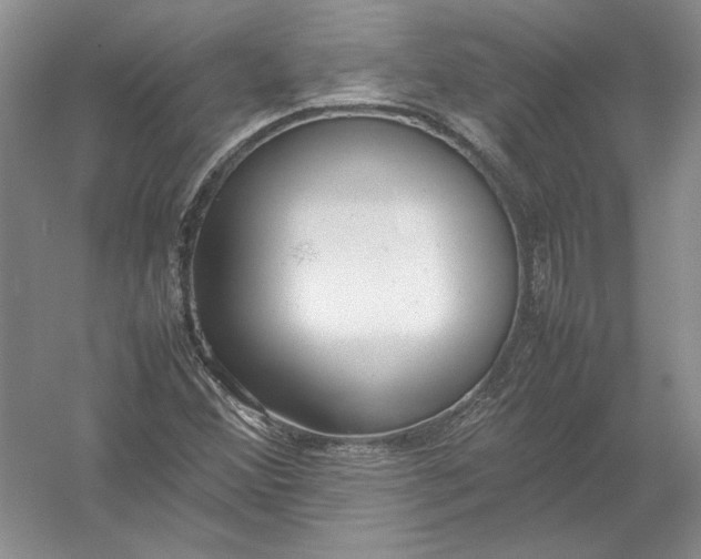 X0000054391356200508191928