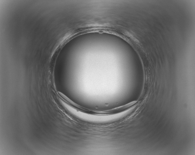 X0000054391357200508191928