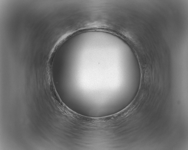 X0000054391358200508191928
