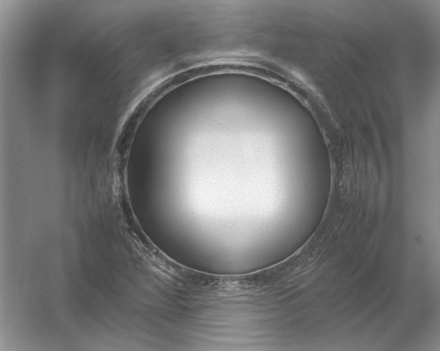 X0000054391360200508191928