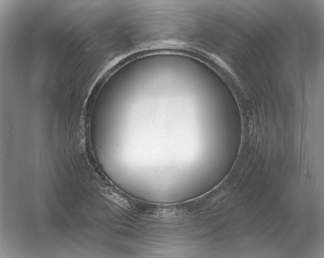 X0000054391364200508191928
