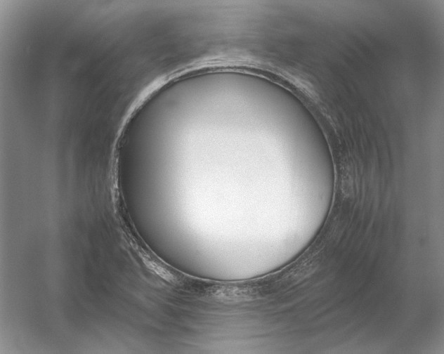 X0000054391366200508191928