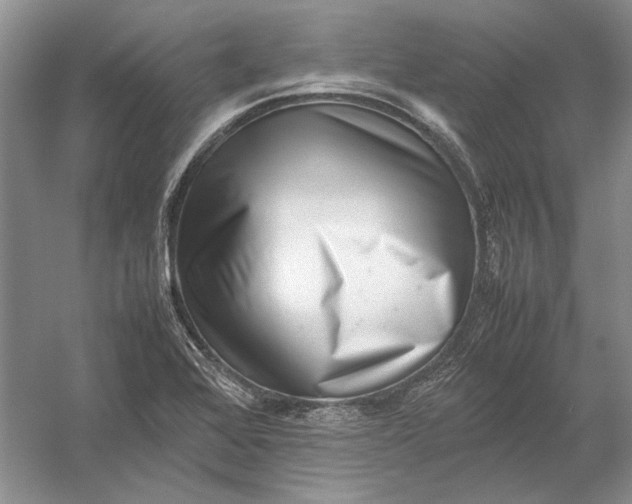 X0000054391368200508191928