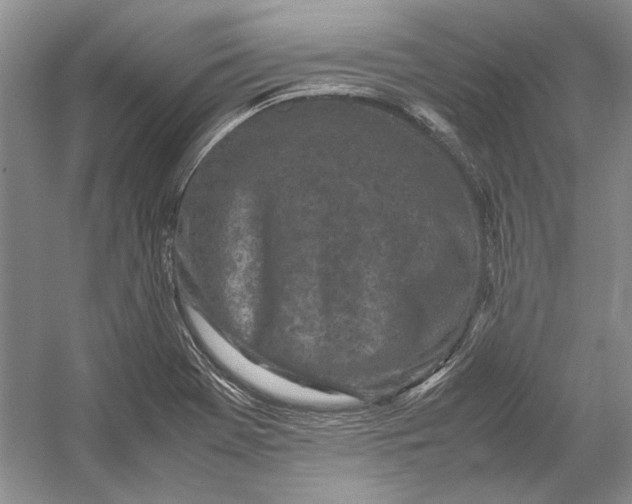 X0000054391369200508191928