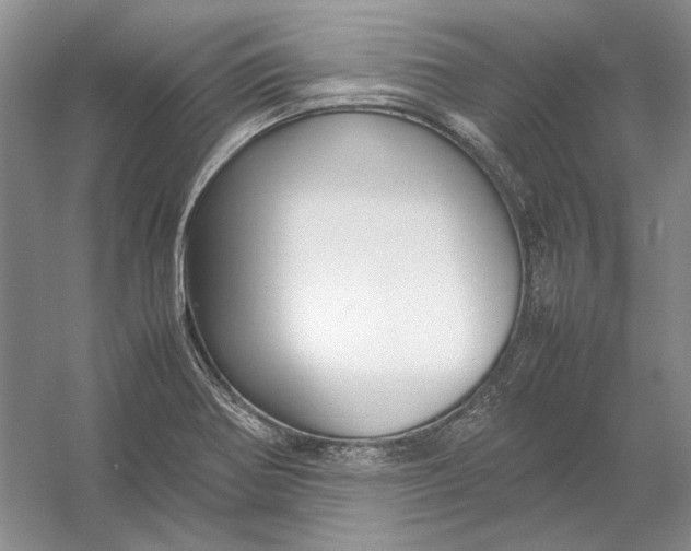 X0000054391370200508191928