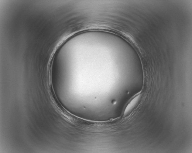 X0000054391371200508191928
