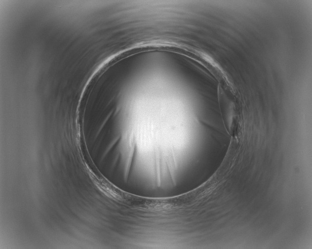 X0000054391372200508191928