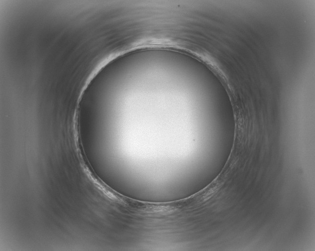 X0000054391382200508191927