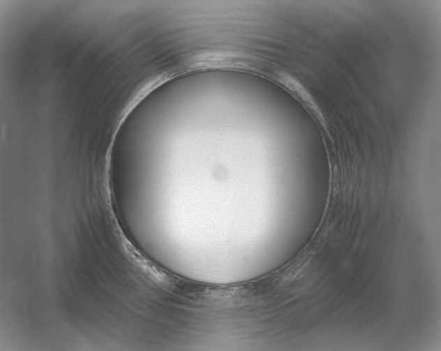 X0000054391386200508191927